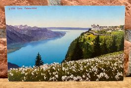 Palace Hotel Caux - Lac Leman