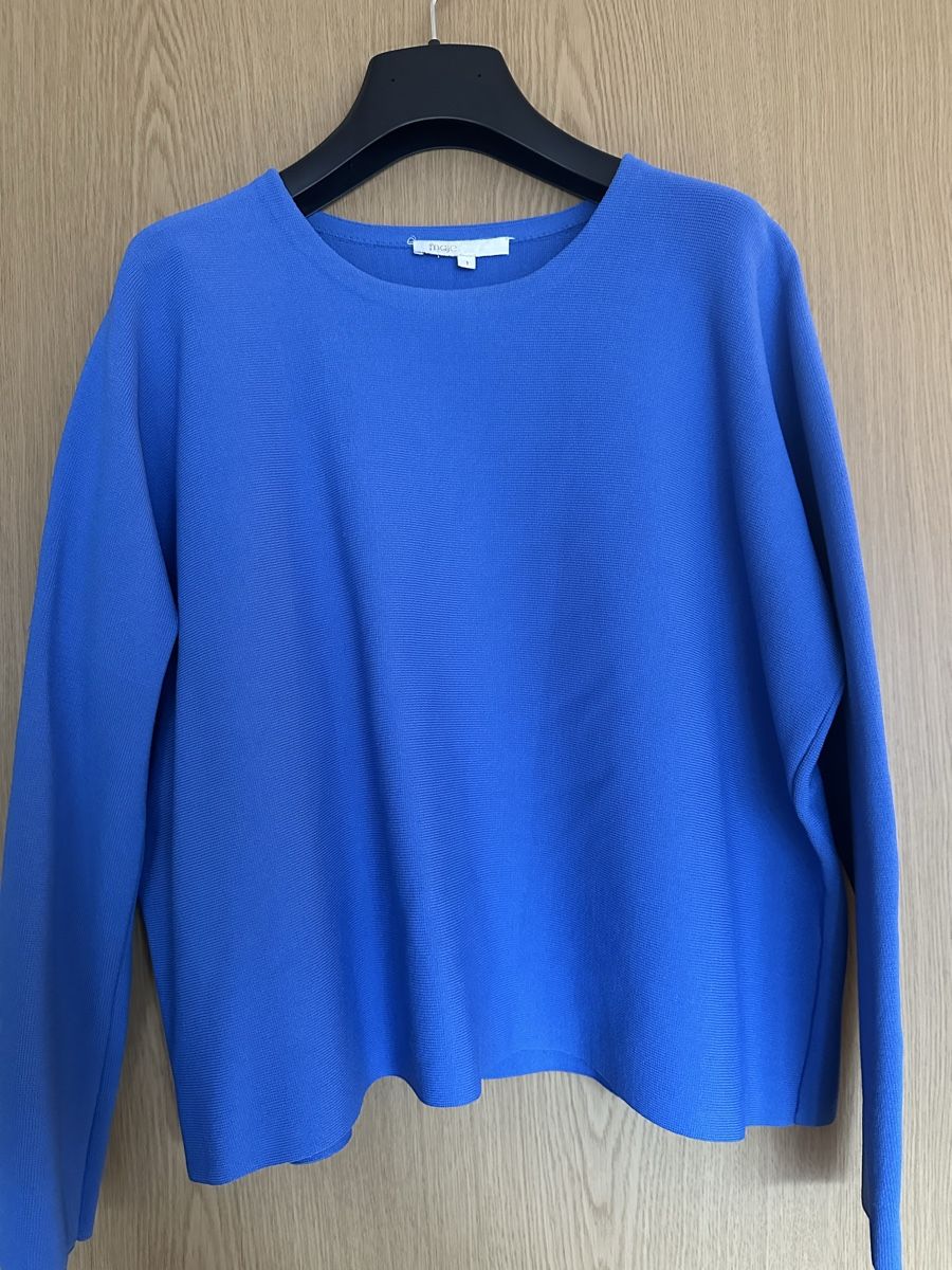 Maje Pullover & Sweatshirts: Maje Pullover – Neu (gemäss Beschreibung) aus Bern von Marie_B21