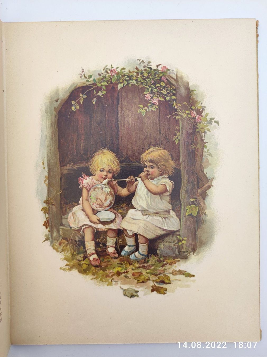 Bücher: KINDERBUCH  - WAS MAN IM WALDE HÖRT – Gebraucht aus Goldach von Gaip