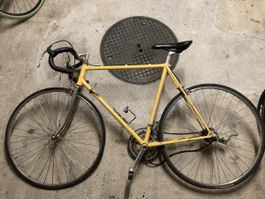 Rennvelo (kaputt)