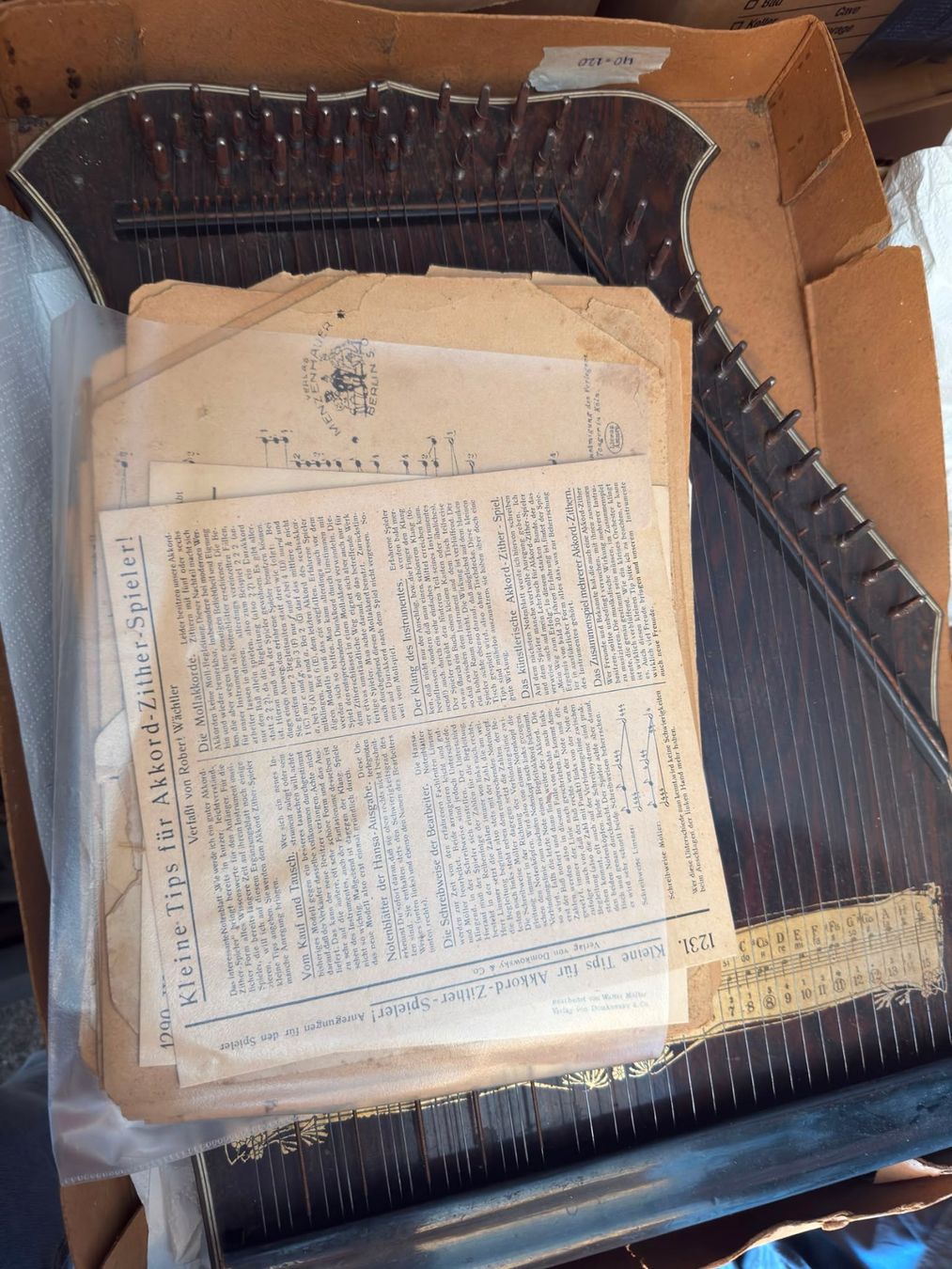 Strumenti musicali: Alte Zither – Ungetestet – Usato da Luzern venduto da Elgordo7 2