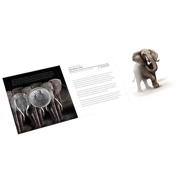 Tutti le monete: 1 x Elefant, 1Feinunze Silber big five 2021 – Nuovo e nell'imballaggio originale da Zollikofen venduto da Campione1 2