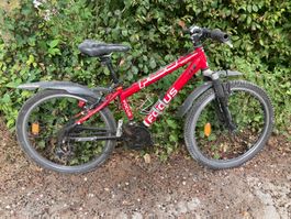 Kindervelo Focus