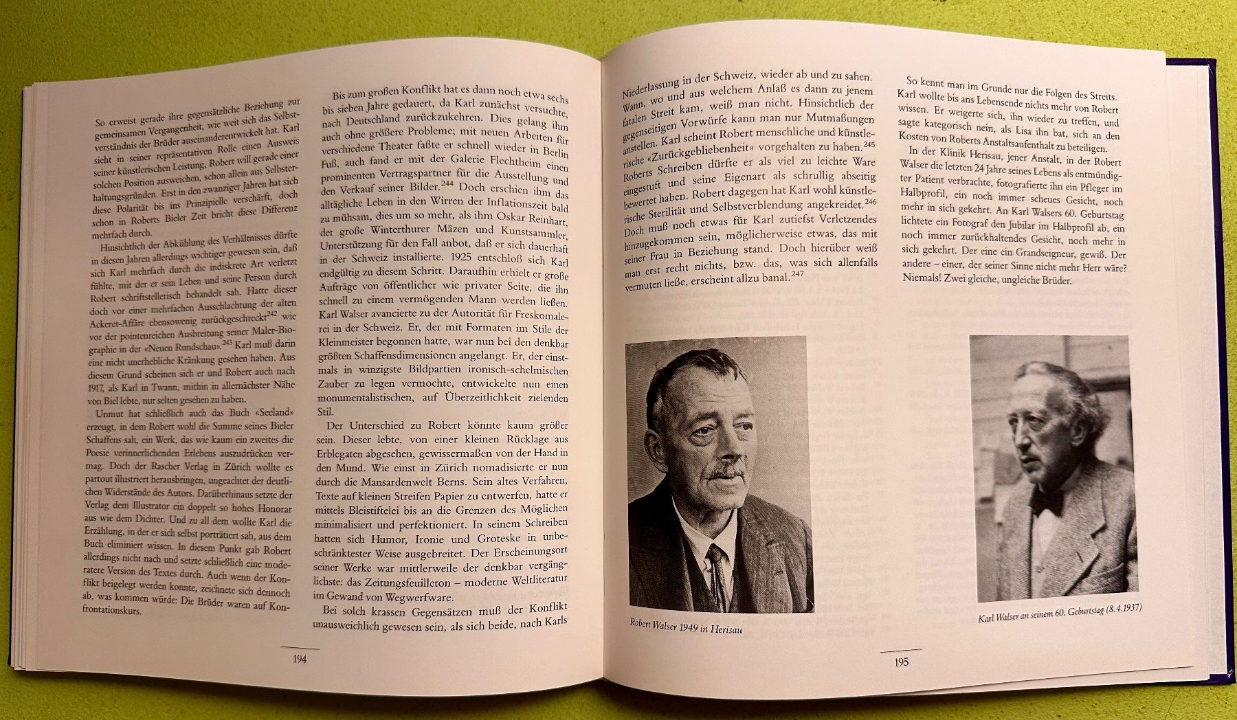 Libri: B. Echte, A. Meier: Die Brüder Karl und Robert Walser – Usato da Zürich venduto da allp 7