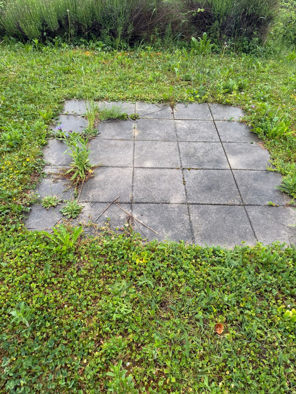 Piatti di portata: 25 Gartenplatten / Betonplatten 40x40 cm grau – Usato da Geroldswil venduto da Landolt8888