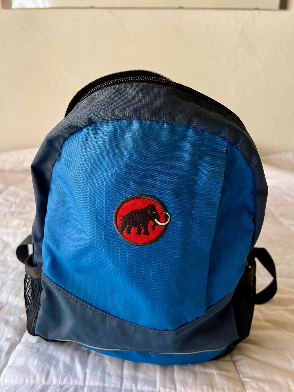 Mammut Zaini: Kleiner herziger Mammut Rucksack. – Usato da Herrenschwanden venduto da Benjamin4787 4
