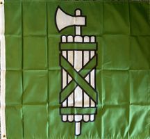 Fahne Flagge Kanton St. Gallen Wil Olma Bodensee Rapperswil