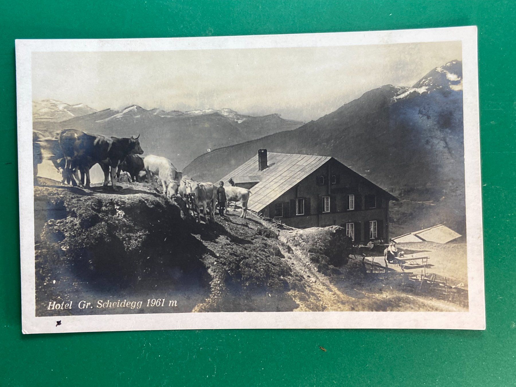 Cartoline postali: Hotel Gr. Scheidegg – Usato da Steg VS venduto da danwer74