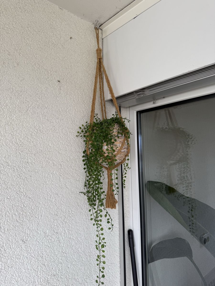 Alle Dekorationen: Kunstpflanze – Gebraucht aus Mörschwil von Seegurke18