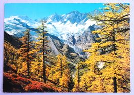 Herbst in Saa-Fee