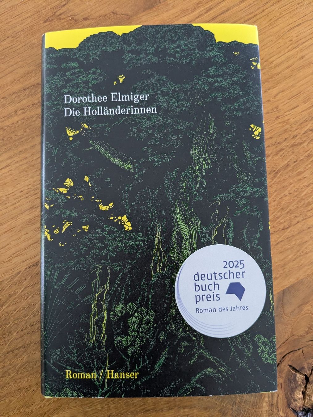 Libri: Dorothee Elmiger: Die Holländerinnen  – Usato da Wohlen AG venduto da merkur0300