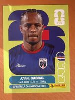 Panini CPV16