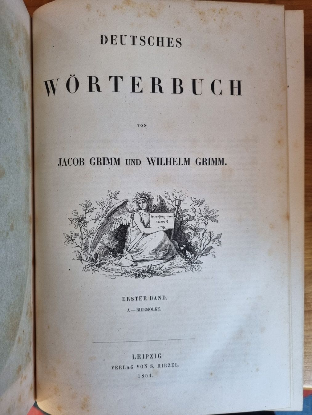 Libri: Originalausgabe Grimms Wörterbuch, 19 Bänder – Usato da Bern venduto da serainaviola