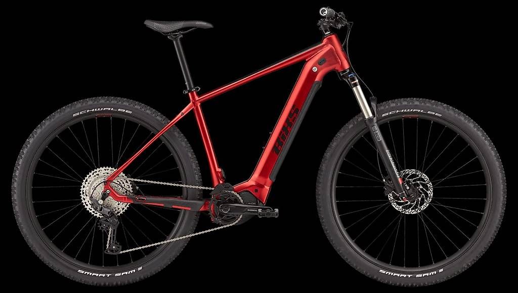 Biciclette: E-Bike front taglia L – Usato da Cadro venduto da popovich