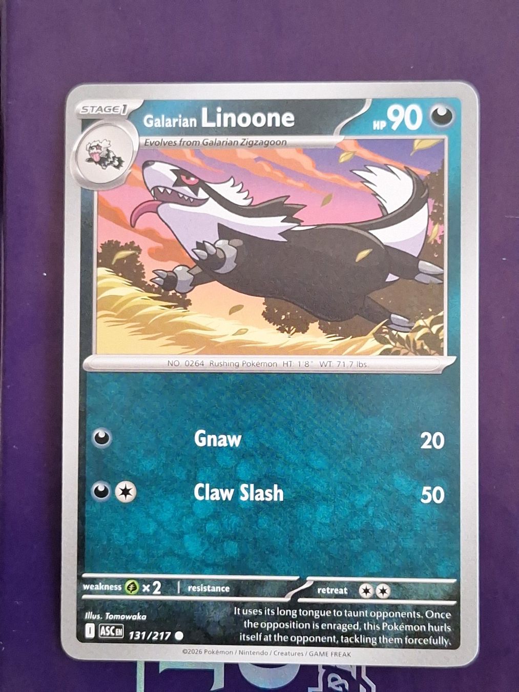 Pokémon Carte collezionabili: Galarian Linoone - Pokemon Ascended Heroes – Usato da Altstätten SG venduto da GGsGameshop