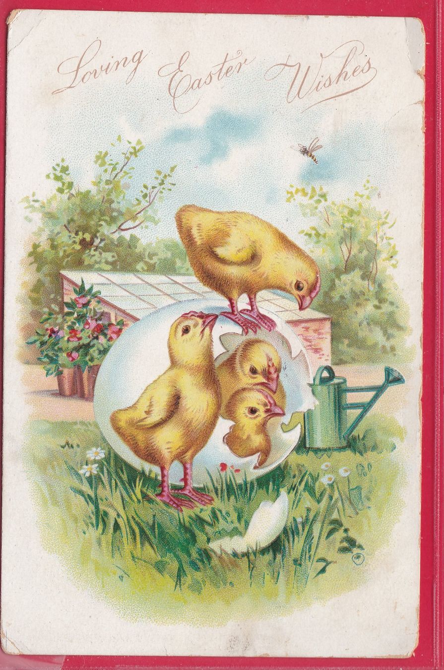 Cartoline postali: PRÄGEKARTE, LOVING EASTER WISHES, 26.3.1910 – Usato da Oberrieden venduto da Gebirgsstelze