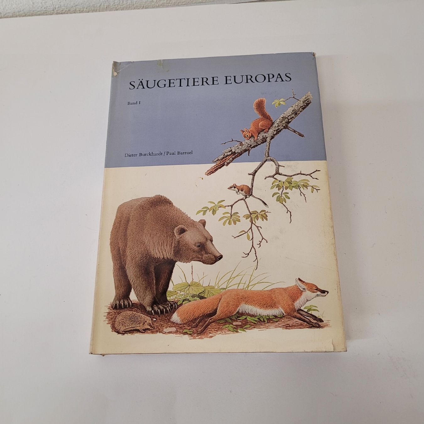 Bücher: buch säugetiere europas – Gebraucht aus Reichenburg von AK307