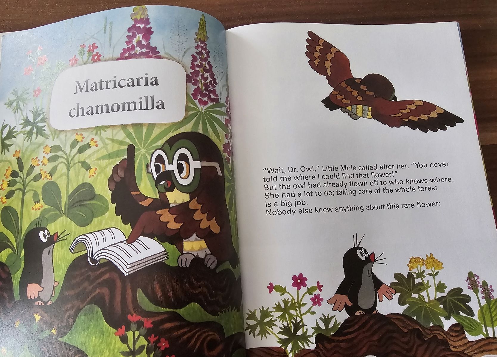 Libri: Kinderbuch "How Little Mole Cured Little Mouse" – Nuovo (secondo la descrizione) da Bütschwil venduto da Taranabo 4