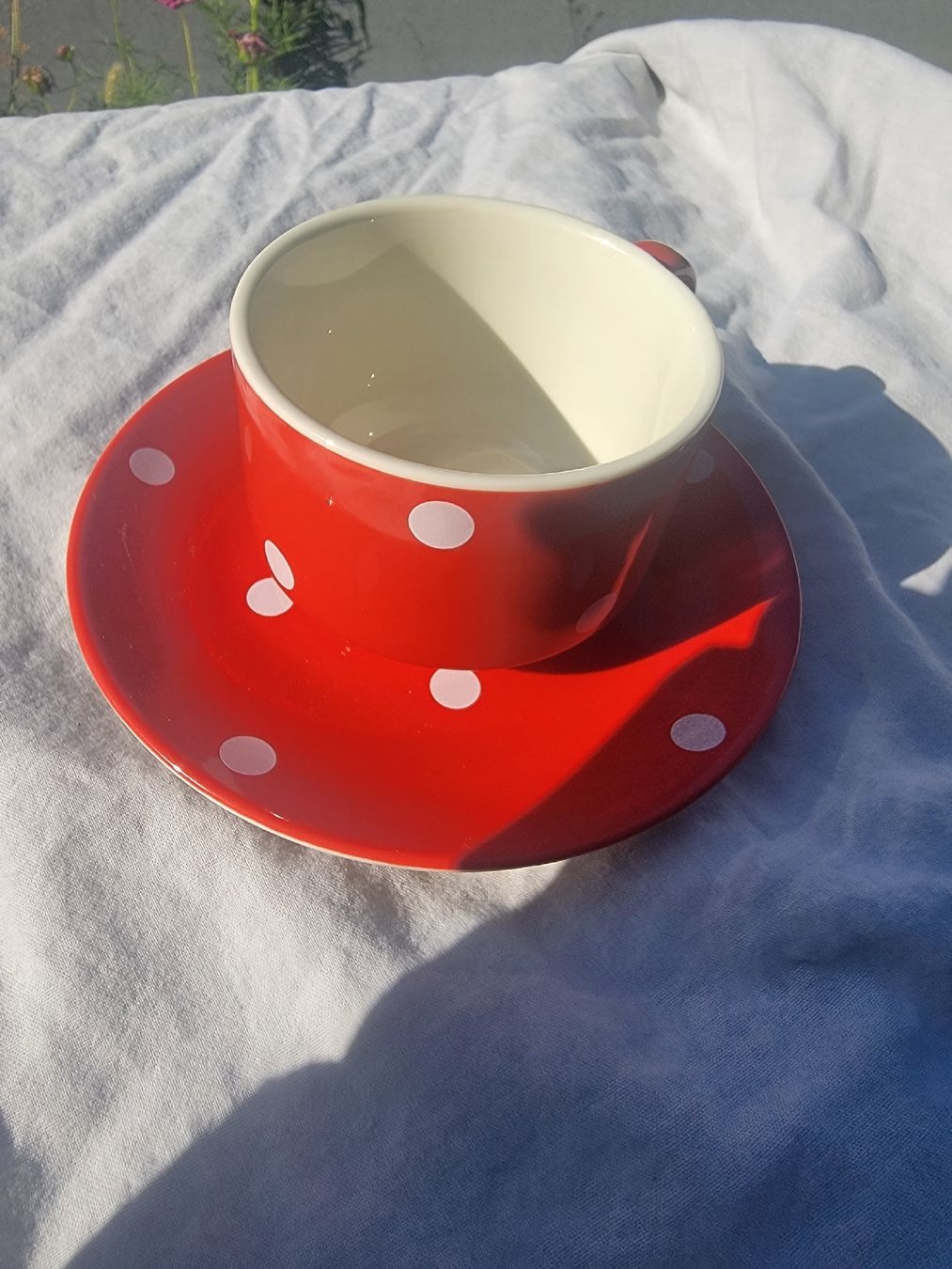 Rössler Tassen: Tasse mit Teller, Rössler – Gebraucht aus Sils im Domleschg von platin01