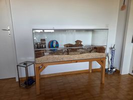 Terrarium - Hamstergehege inkl. Untergestell
