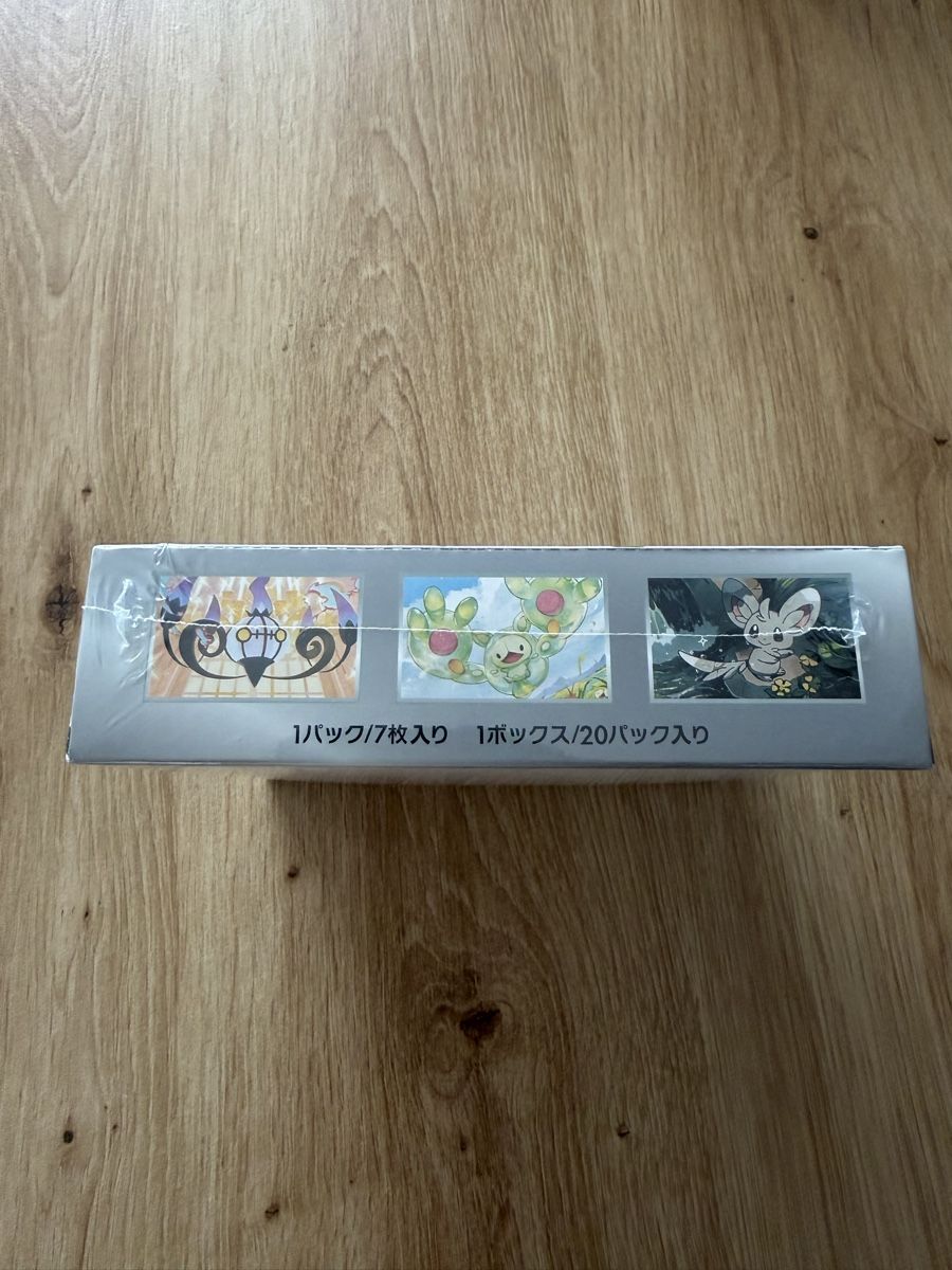 Pokémon Carte collezionabili: Pokemon Black Bolt SV11b – Nuovo (secondo la descrizione) da Aadorf venduto da Pokecenter188 2