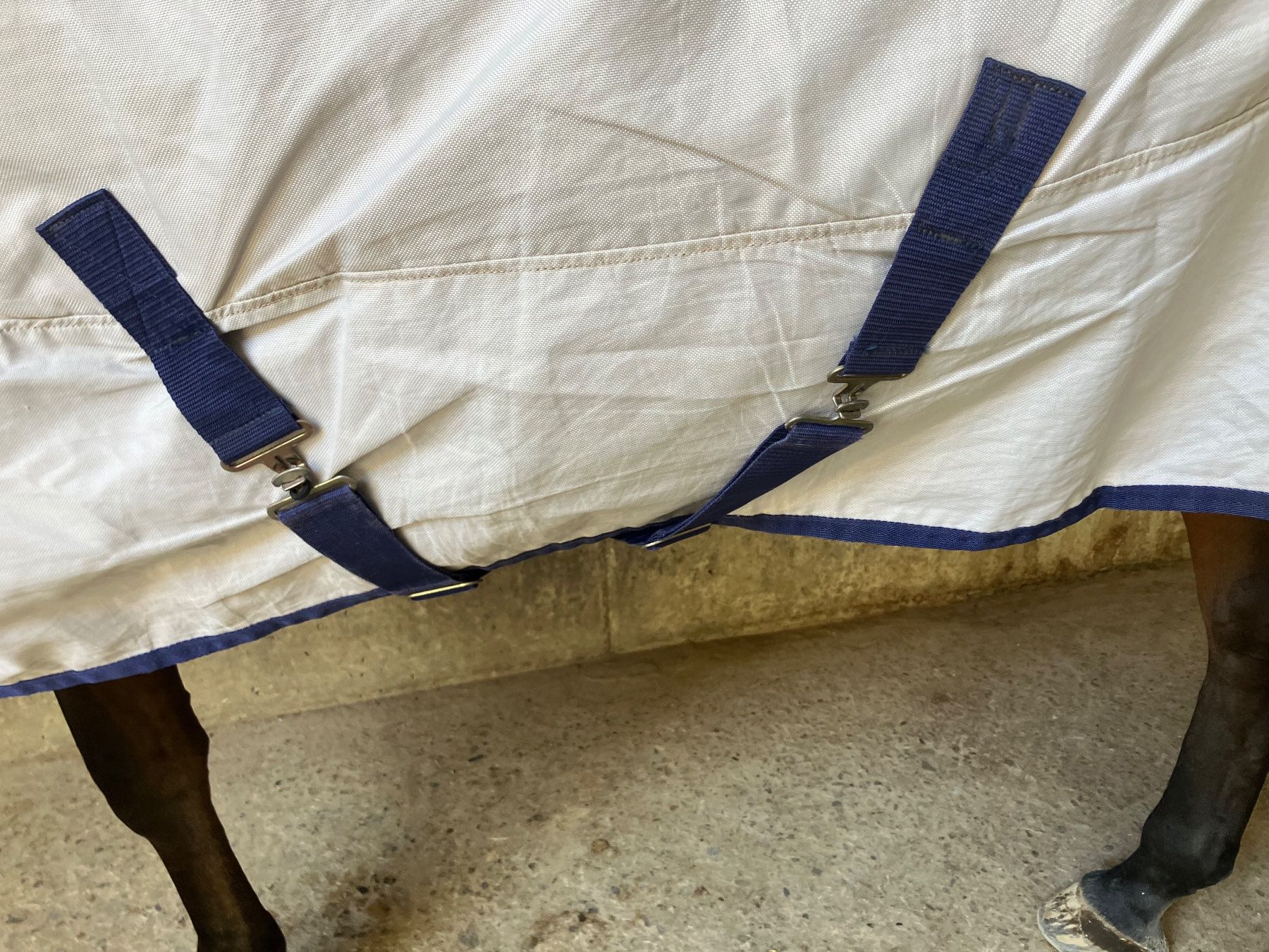 Decken & Deckenzubehör: Bucas regendecke Sun Shower 145cm Warmblut – Gebraucht aus kottwil von opononi 3