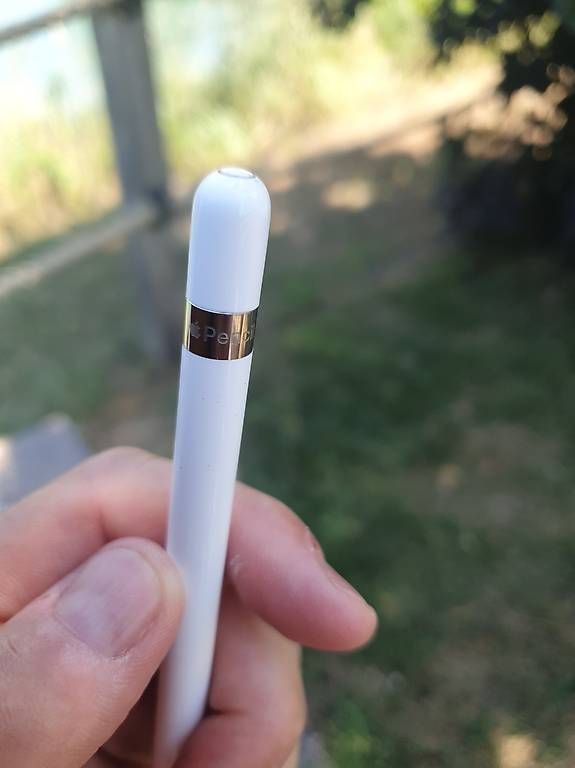 Penna & Evidenziatori: Apple Pencil 1. Generation, nur Stift – Usato da Mellingen venduto da cdu_5mwk 3
