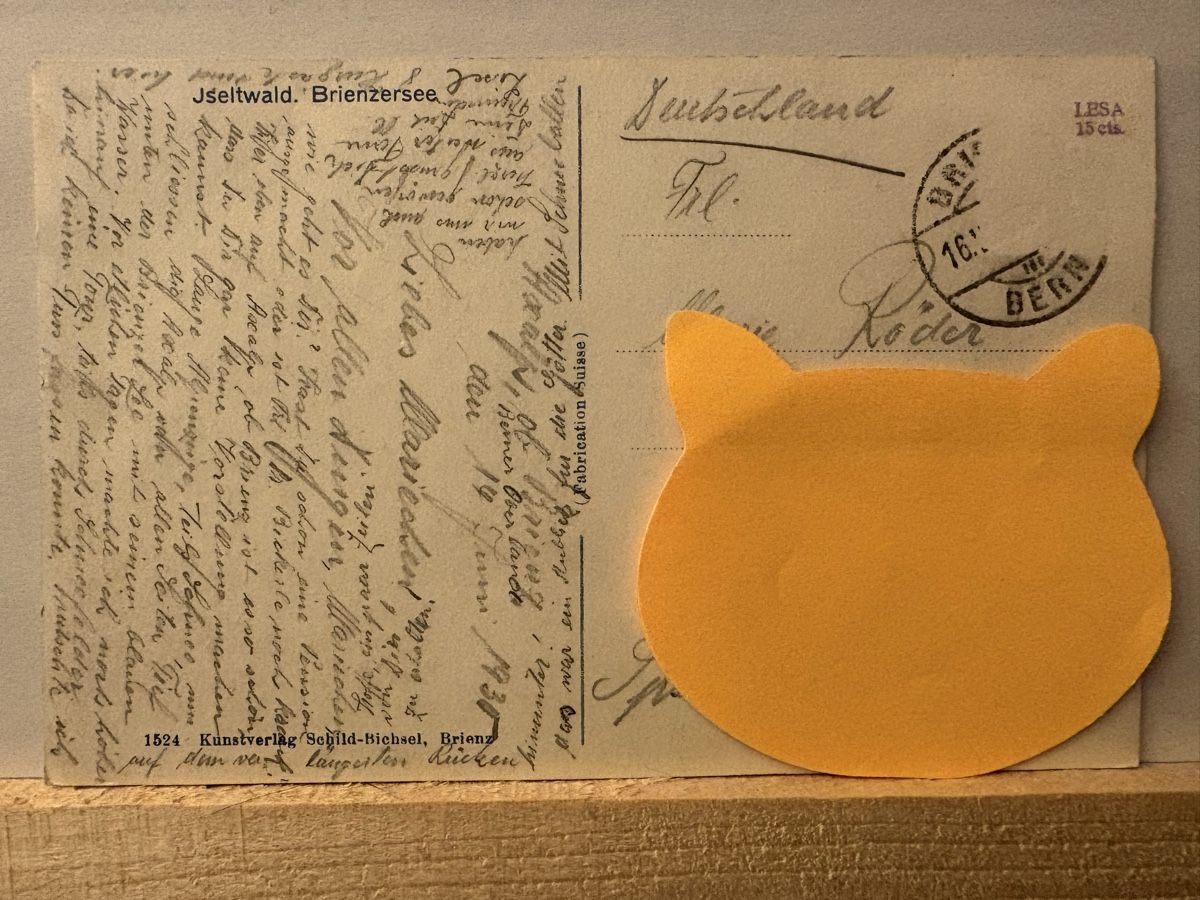 Cartoline postali: AK von Iseltwald Brienzersee – Usato da Rümlang venduto da Brieftaube1 1