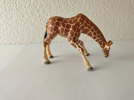 Schleich Giraffe Giraffenkuh saufend Rarität Wild Life Zoo