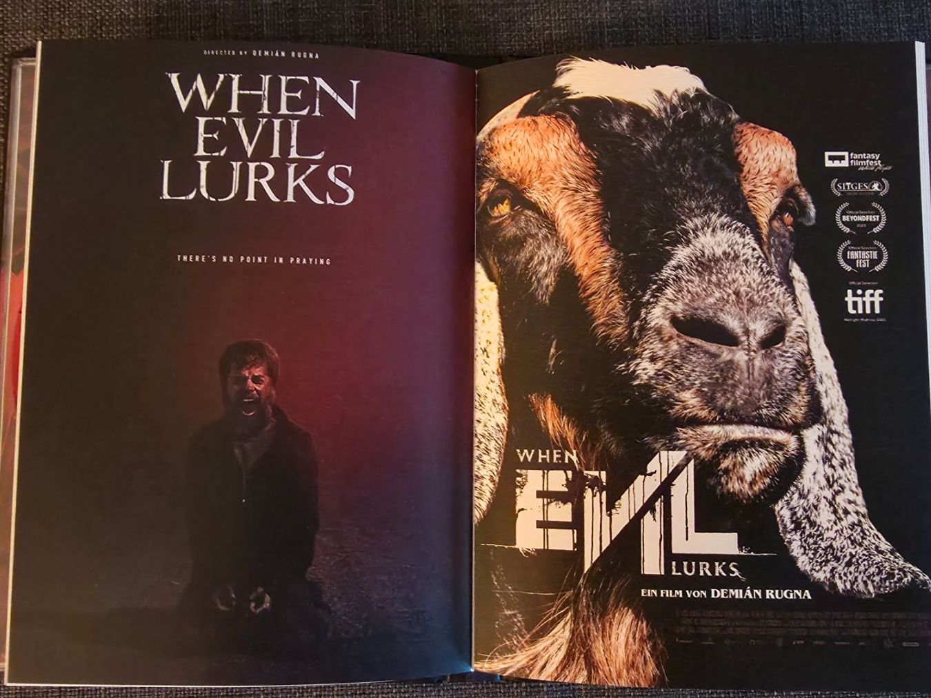 Tutti i DVDs: When Evil Lurks Mediabook UNCUT! – Nuovo (secondo la descrizione) da Oberkirch LU venduto da ThE_CoLLecTor666 4