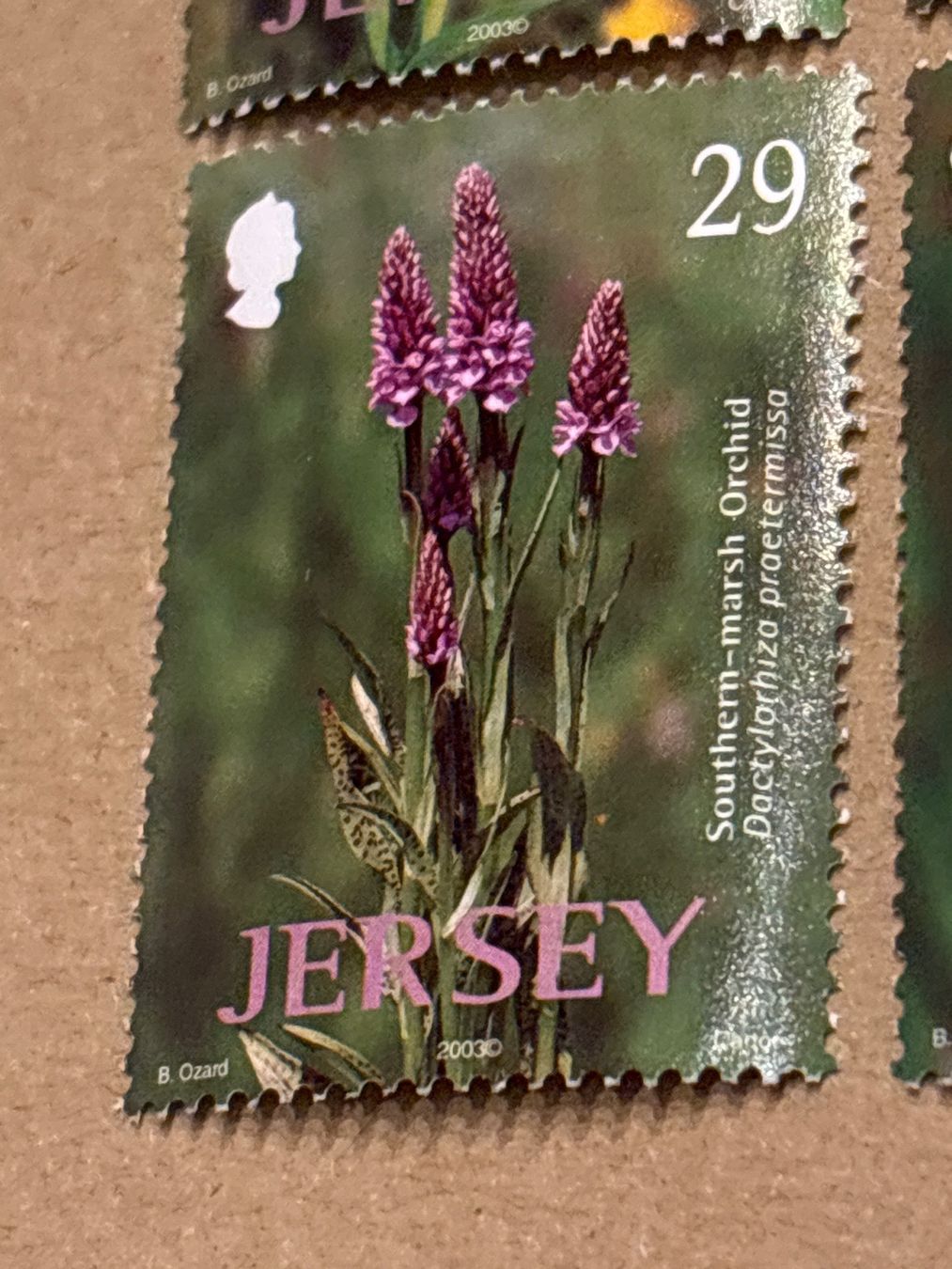 Alle Briefmarken: 6 Jersey Orchideen Briefmarken 2003/0 – Neu (gemäss Beschreibung) aus Zürich von engebrunau 1