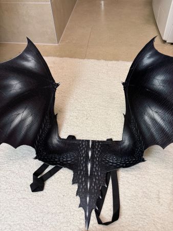 Ailes de Dragon Noires, accessoire déguisement Halloween!
