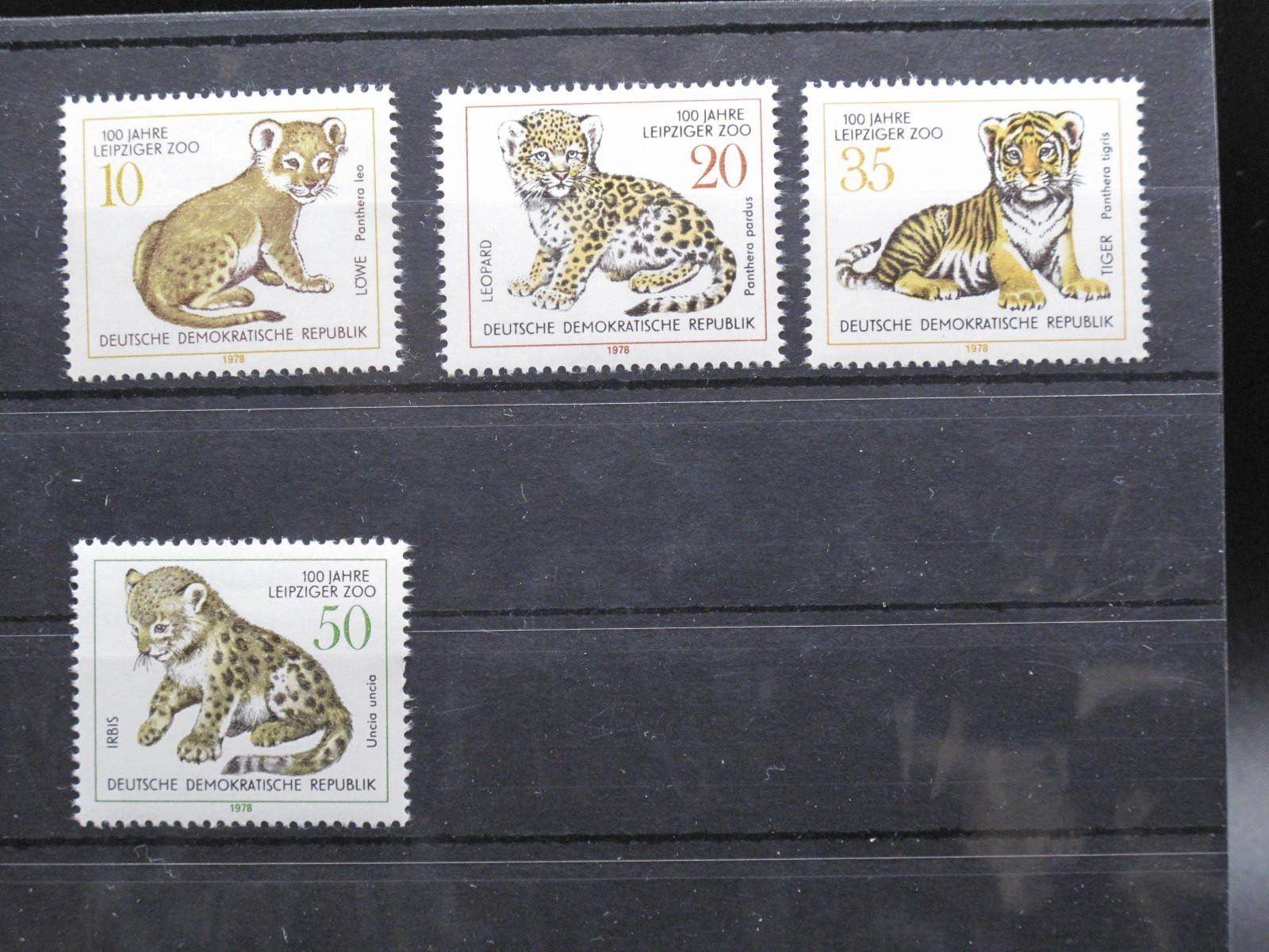 Alle Briefmarken: DDR 1978 Zoologischer Garten Leipzig** – Gebraucht aus Wil SG von fva01