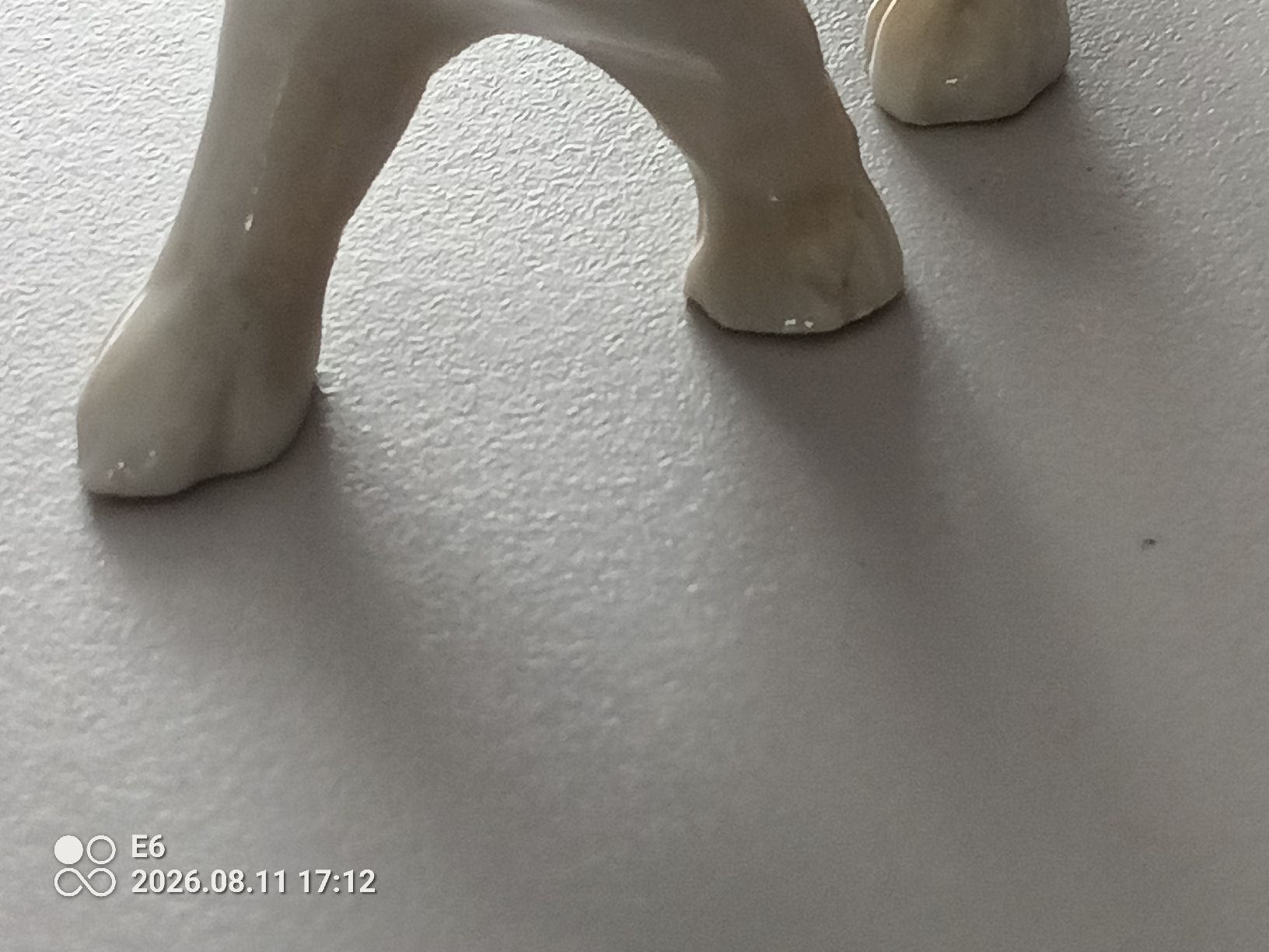 Statuette: Porzellanhund – Nuovo (secondo la descrizione) da Zürich venduto da Mitzi6 4