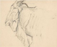 Rembrandt Bugatti Ziegenbock 12 x 15 cm Kohle / Papier