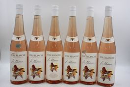 6x Le Moineau Dôle Blanche du Valais (26081667Z)