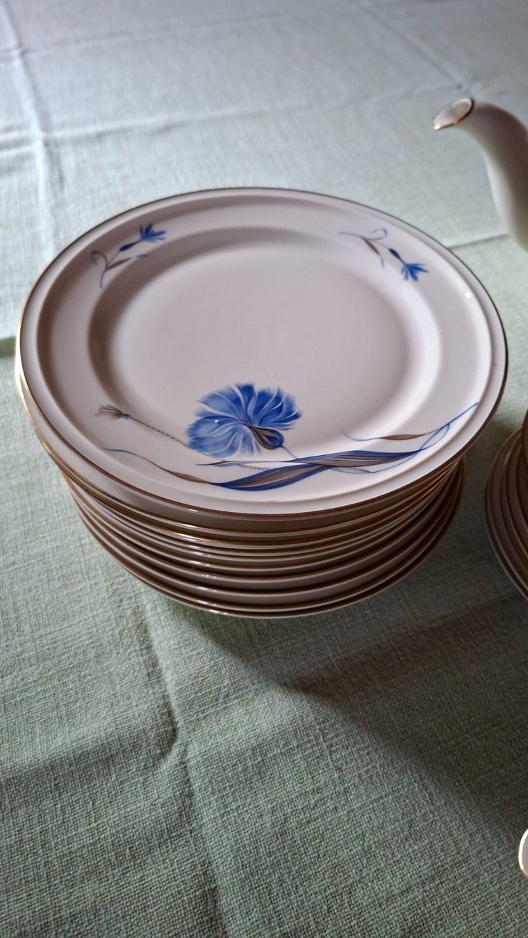 Rosenthal Set di piatti: Rosenthal Winifred Tee-/Kaffeeservice 29-teilig antik – Usato da Hittnau venduto da Agi010 1