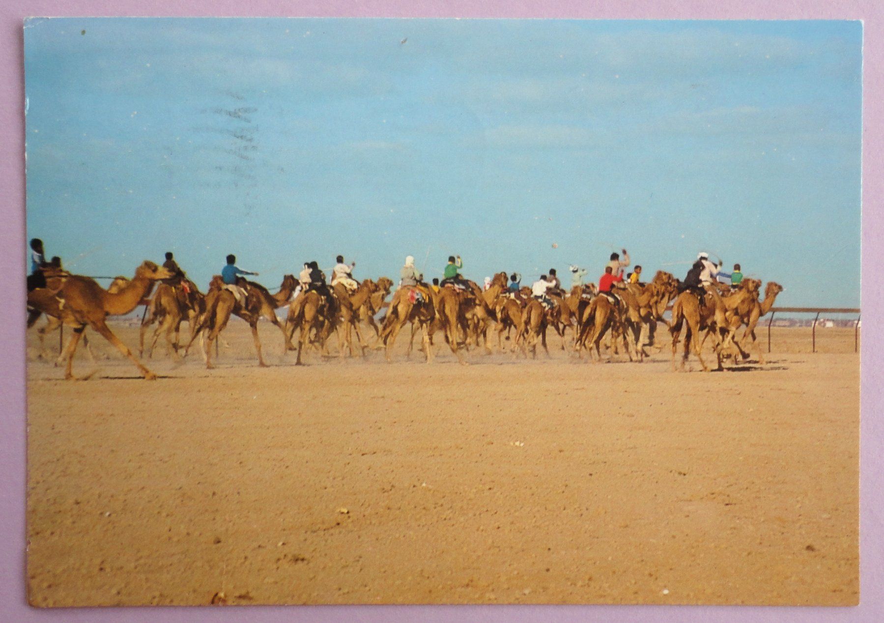 Cartoline postali: Dubai, Camel race – Usato da Fétigny venduto da Billy2miny