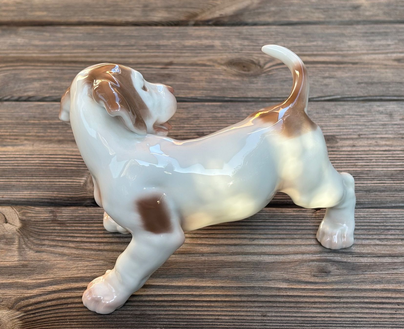 Bing & Grøndahl Statuette: Porzellanfigur Pointer Welpe Bing & Gröndahl – Usato da Lüchingen venduto da Eeizo 3