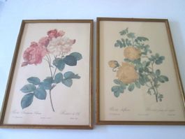 2 Vintage-Bild (Papier)