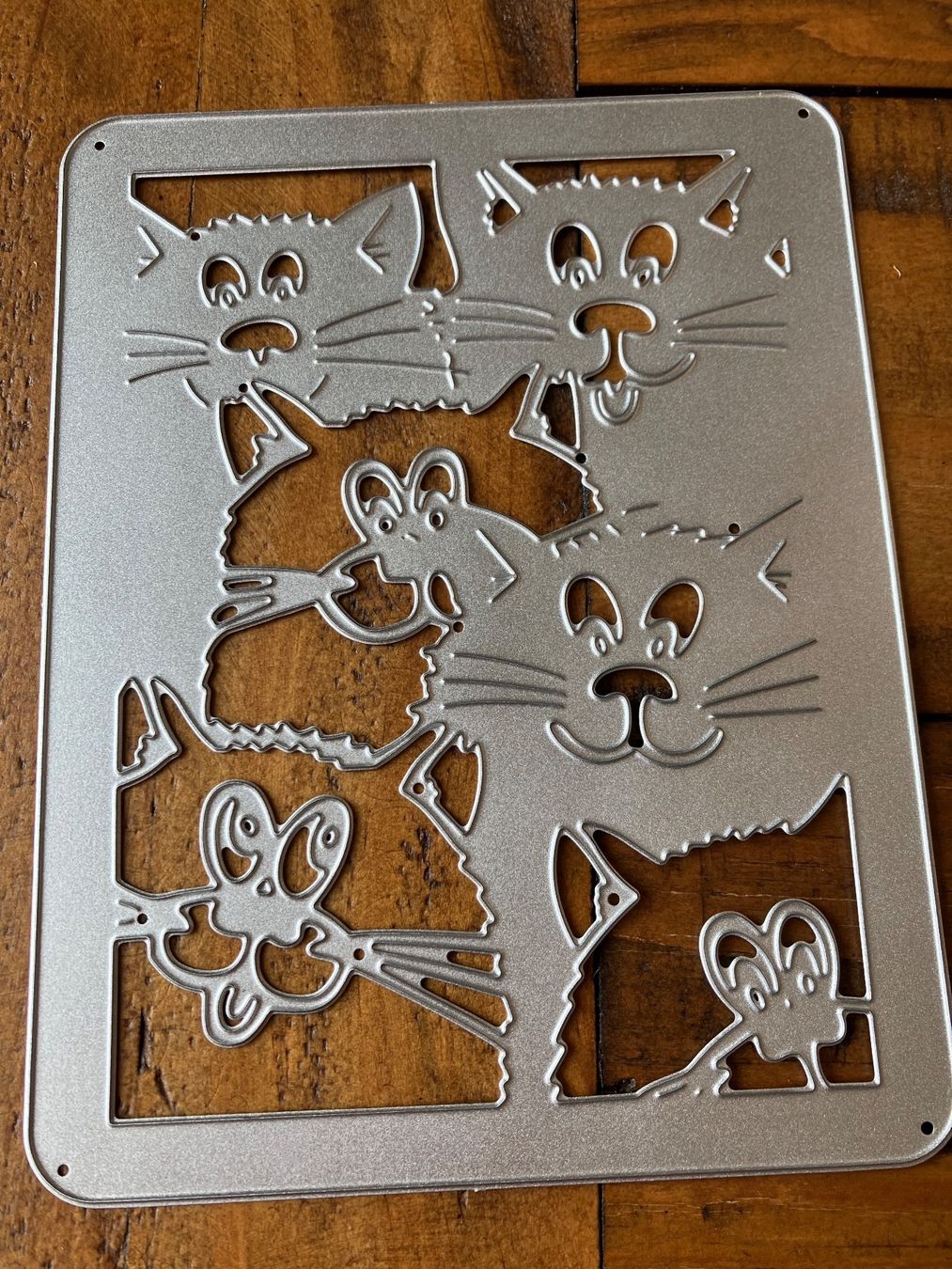 Schablonen: Neue, grosse Stanzschablone  Büsi, Katzen  NEU – Neu und originalverpackt aus Effretikon von wenuss 2