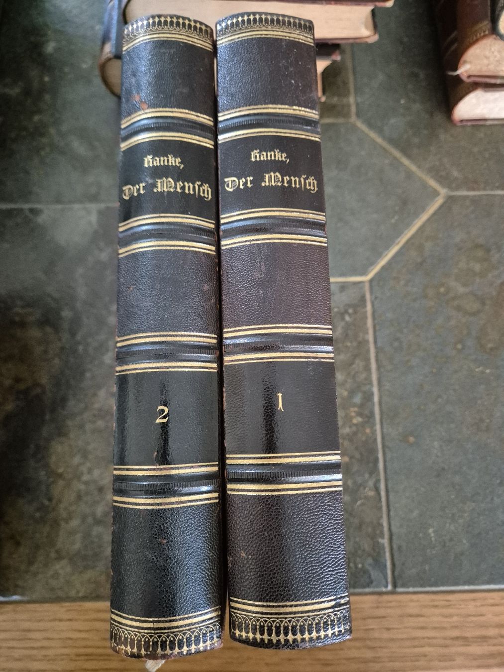 Libri: Ranke, Der Mensch, 2 Bde. OHLdr. 1886 – Usato da Schlieren venduto da HuiBu