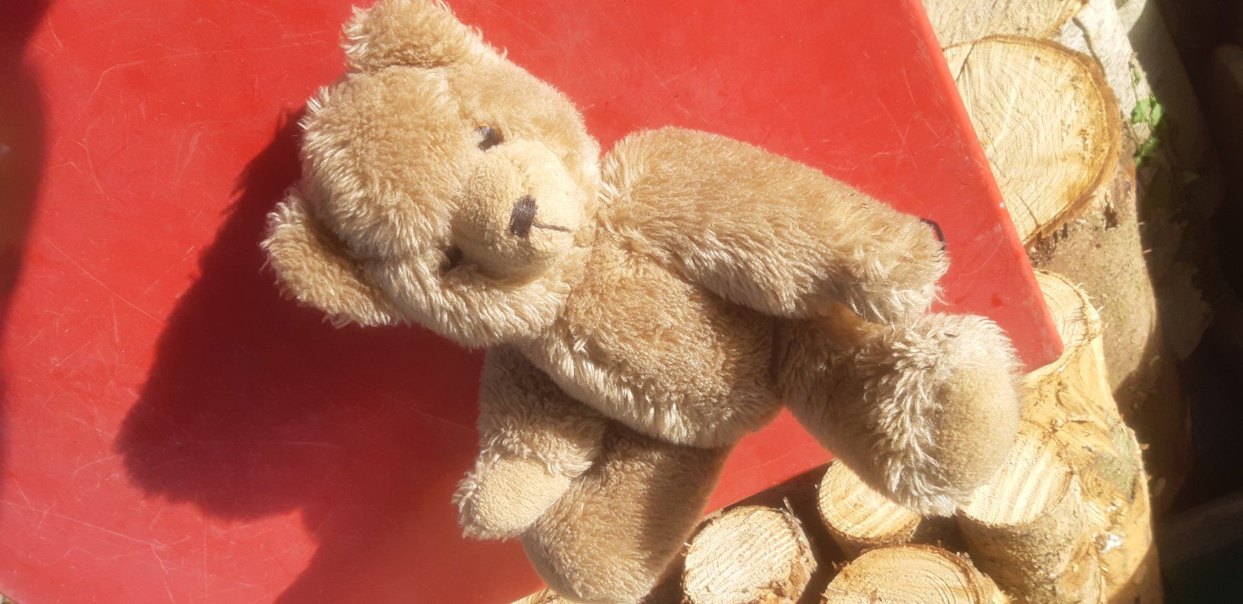 Giocattoli: Alter Teddybär – Usato da Wolfhalden venduto da Quiria68 2