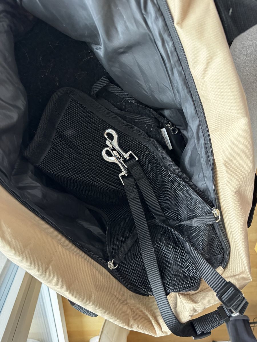 Borse: Sac de transports pour chien – Usato da Bulle venduto da lcaroni 3
