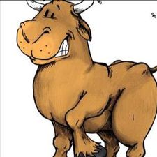 Profile image of buttiholli