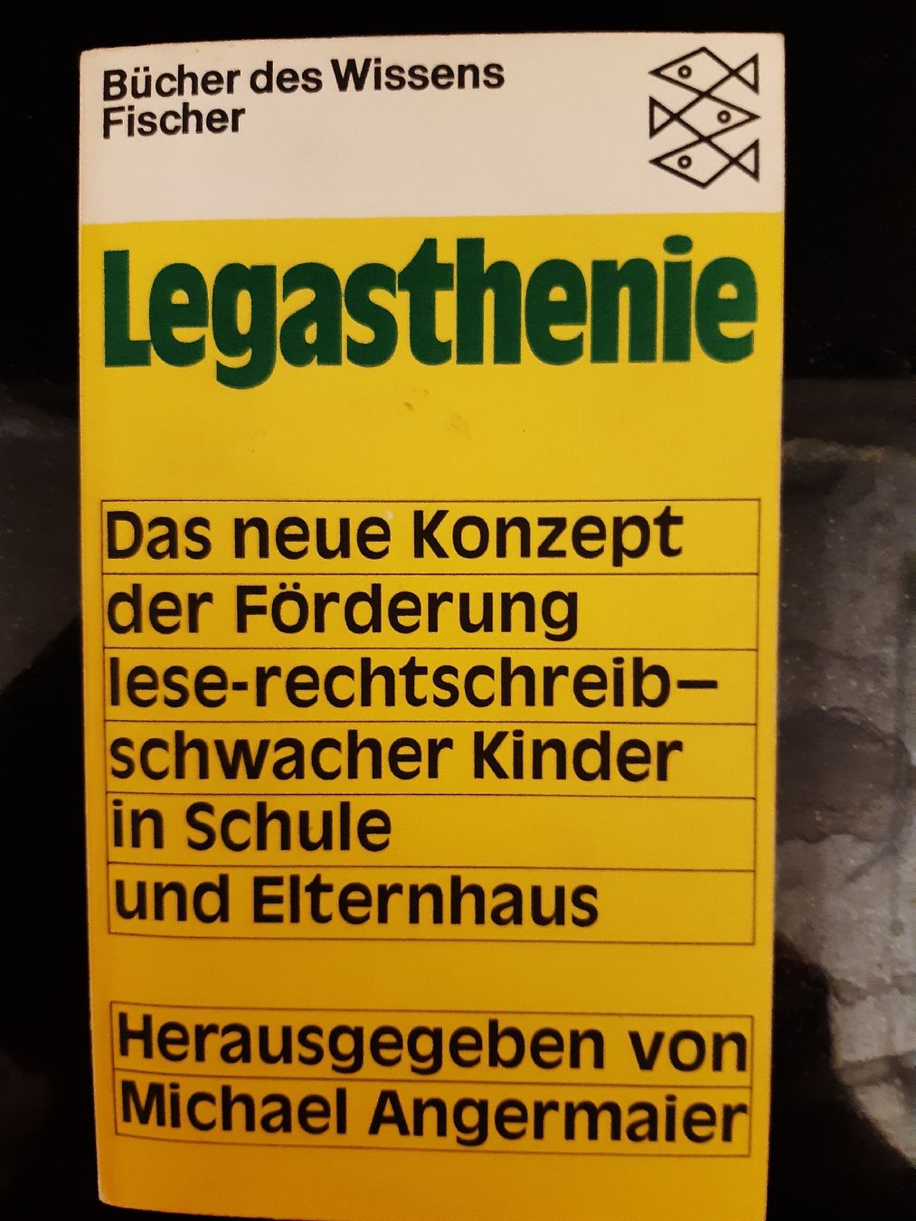 Libri: Legasthenie – Usato da Biel/Bienne venduto da lau_7ysy
