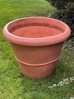 Grosser Pflanzentopf im Terracotta-Style