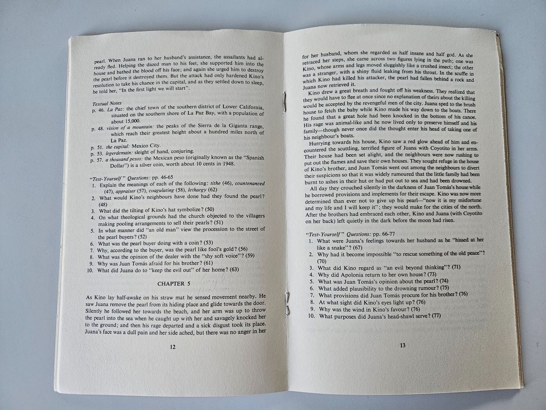 Libri: Study-Aids, Notes on John Steinbeck's THE PEARL, 1977 – Usato da Echandens venduto da annegug 3
