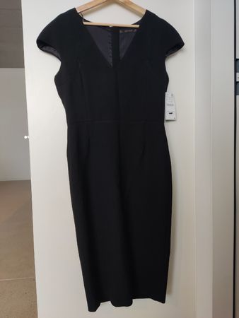 Elegant Dress Zara L