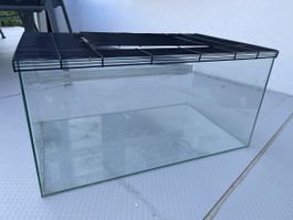 Terrarium 